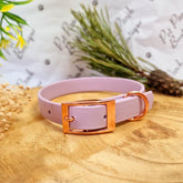 Lavender Biothane Vegan Dog Collar